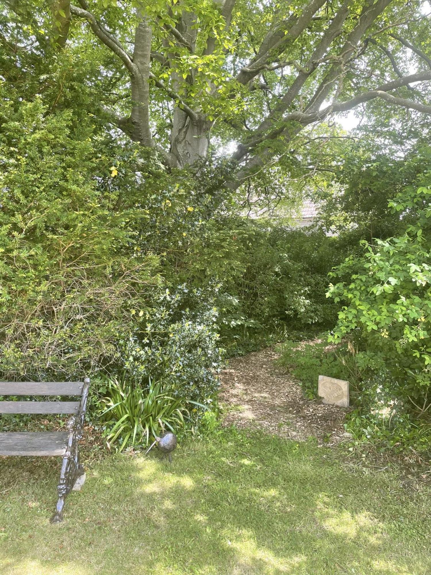 The Mount Somerton Retreat - Nr Bruton, Glastonbury, The Spectacular Wells Cathedral, Millfield School, Leonardo Helicopters, Yeovilton ภายนอก รูปภาพ
